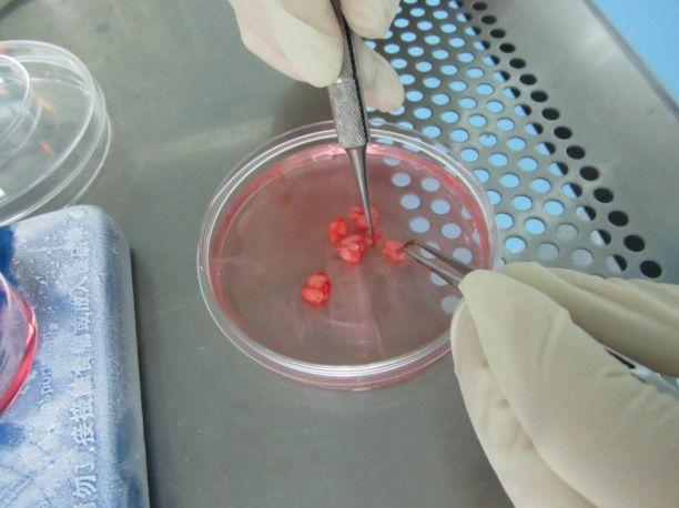 环球体育平台在线(官方)登录入口
